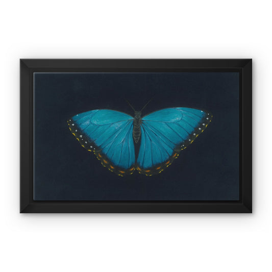 Blue Morpho, Framed Canvas