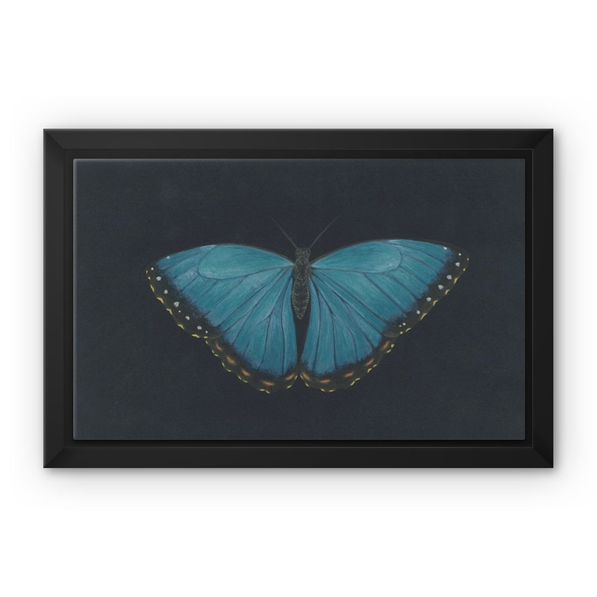 Blue Morpho, Framed Canvas