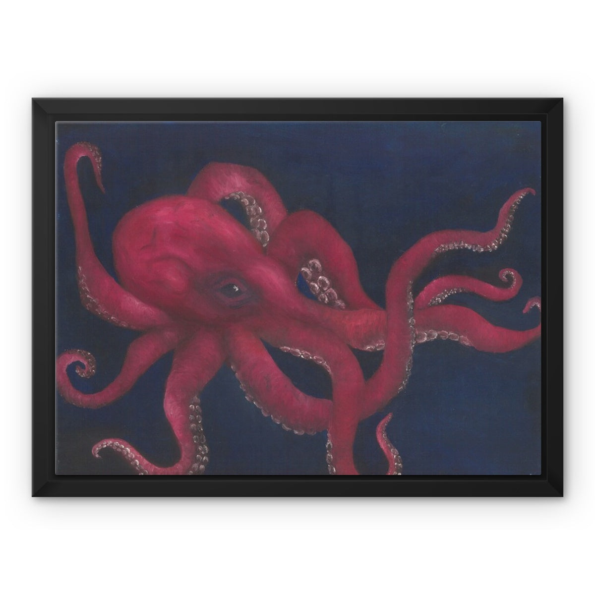 Octopus, Framed Canvas